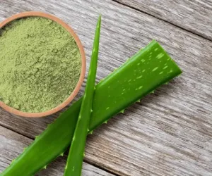ALOE VERA POWDER