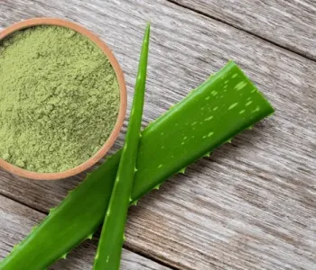 ALOE-VERA-POWDER-1