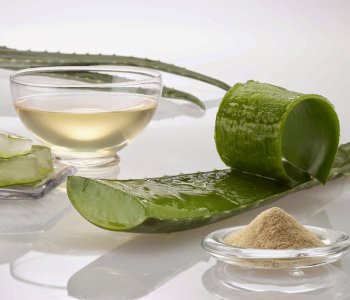 ALOE-VERA-POWDER-2