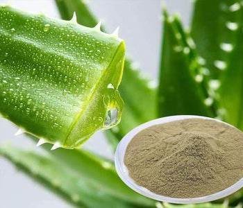 ALOE-VERA-POWDER