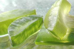 ALOE-VERA-2