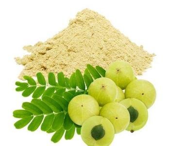 AMLA-POWDER-1