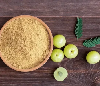 AMLA-POWDER-3