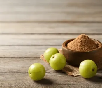 AMLA-POWDER-4