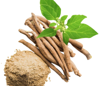 Ashwagandha-Powder-3