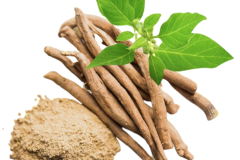 Ashwagandha-Powder-3