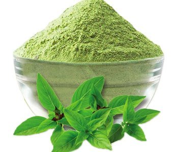 Basil-Powder-2