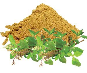 BASIL POWDER