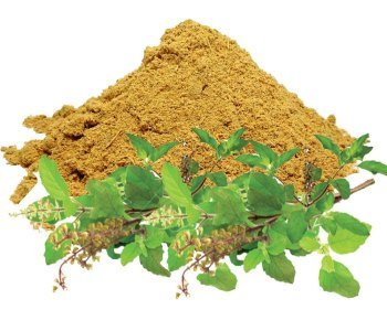 Basil-Powder-3