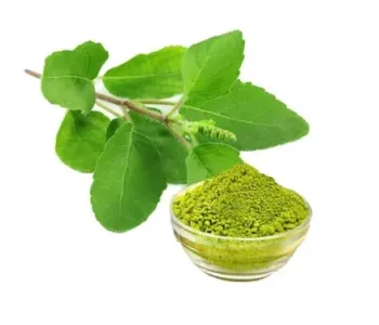 Basil-Powder-4