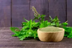 Basil-3
