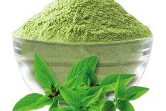 Basil-Powder-2