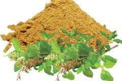 Basil-Powder-3