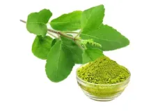 Basil-Powder-4