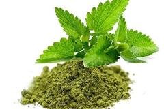 Basil-Powder
