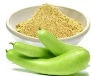 Bottle Gourd (Lauki)