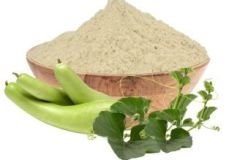 Copy of Goseva Website Product images - Lauki Powder