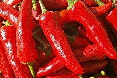 Chilli-3