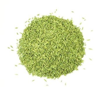 Fennel-2