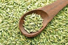Fennel-4