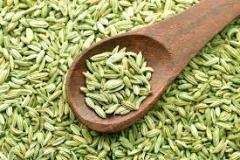 Fennel-4