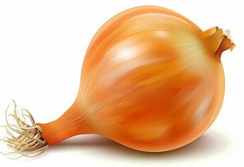 240_F_774449668_fMCCGFpfhoV3RAlrLEw1Kovz54LMoo7u