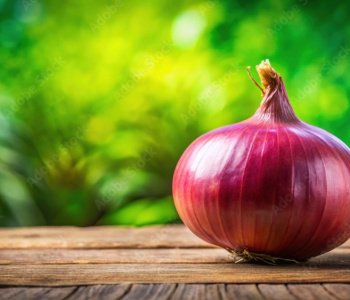 Red-Onion-2