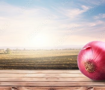 Red-Pink-Onion