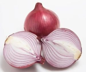 FRESH ONION