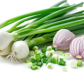 pngtree-spring-onion-isolated-on-white-background-image_16131670