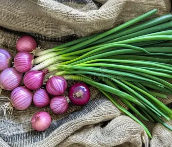 red-onions-green-onions-sackcloth-photo-red-onion-green-spring-onions-burlap-red-onions-green-onions-316574767