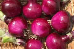 RedOnions3_2048x