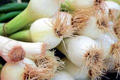 White-Fresh-Onion-1