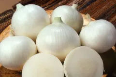 White-Onion_1