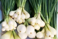 White-Onion_3