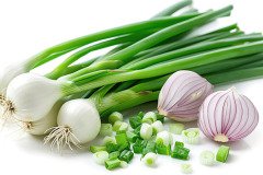 pngtree-spring-onion-isolated-on-white-background-image_16131670