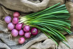 red-onions-green-onions-sackcloth-photo-red-onion-green-spring-onions-burlap-red-onions-green-onions-316574767