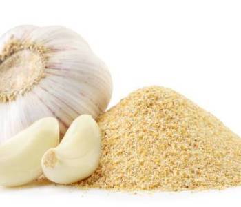 A pile of ground garlic and a head of garlic with cloves close-up on a white background. Isolated