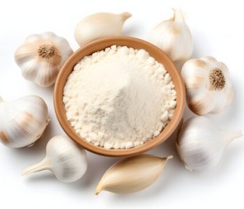 Garlic-Powder_1