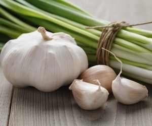 GARLIC