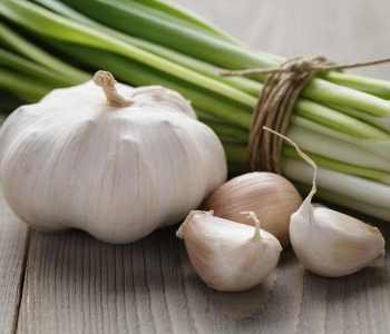 Garlic-5