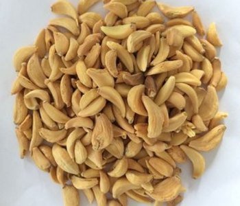 Garlic-Flakes-2