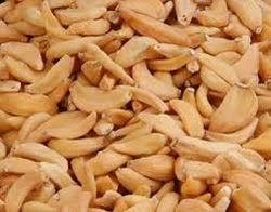 Garlic-Flakes