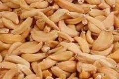 Garlic-Flakes