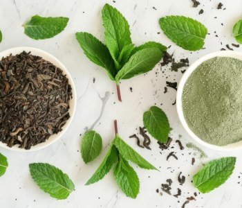 Mint-Powder-1