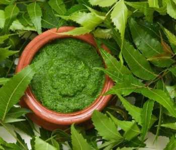 Neem-1