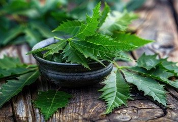 Neem-3