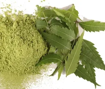Neem-Powder-2