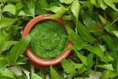 Neem-1