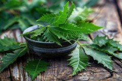 Neem-3